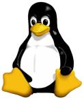 network design, installation, maitanance, linux/unix installation maintenance and security, disaster recovery, domain registration, web hosting, application hosting 